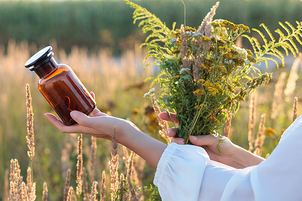Phytotherapie - Heilen mit Pflanzen